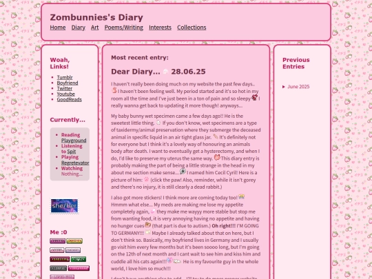 diary screenshot