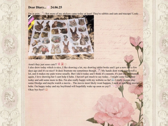 diaryentries/diary2406 screenshot