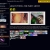 argotpowell.neocities.org avatar