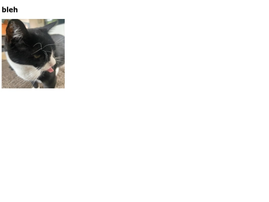 secret screenshot