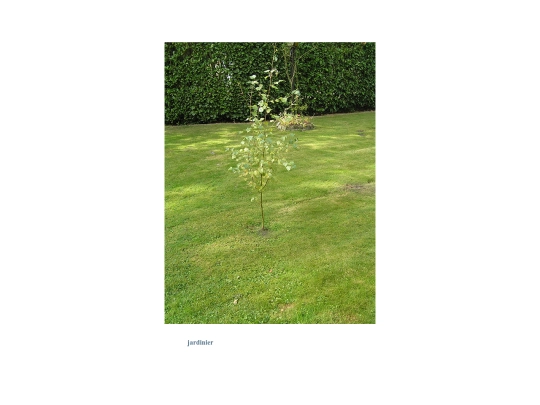 boulot01 screenshot