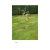 monpetitjardin.neocities.org avatar