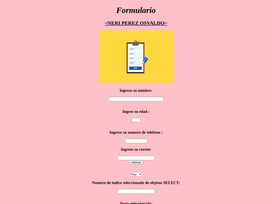 programNERY2020/formulario screenshot