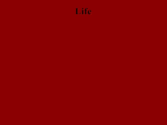 life screenshot