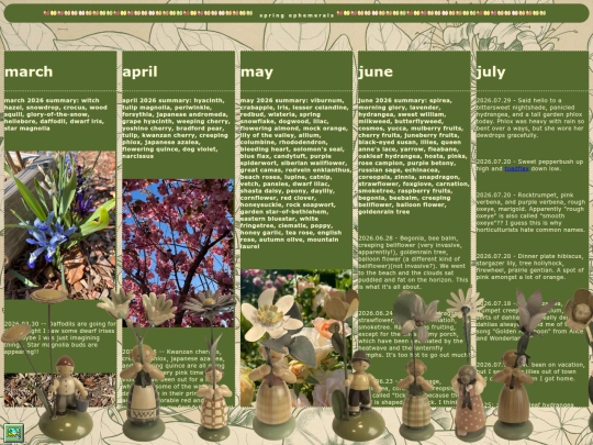 flowers screenshot