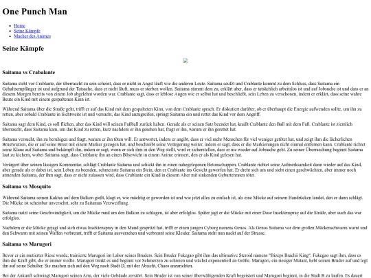 css/seine_kaempfe screenshot