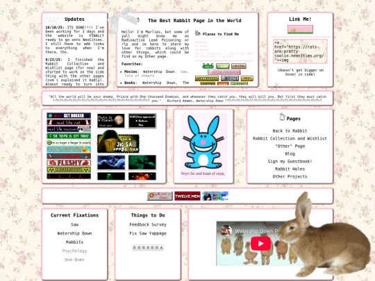 rabbits screenshot