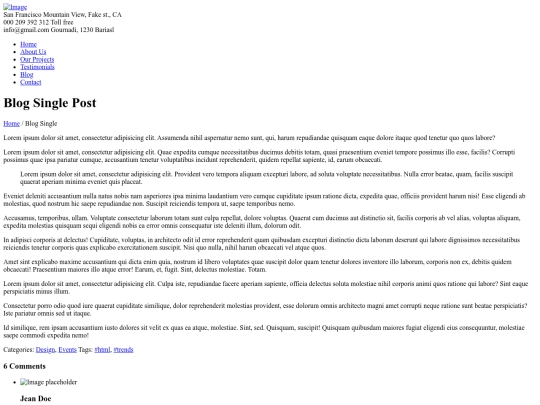 blog-single screenshot