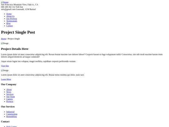 project-single screenshot