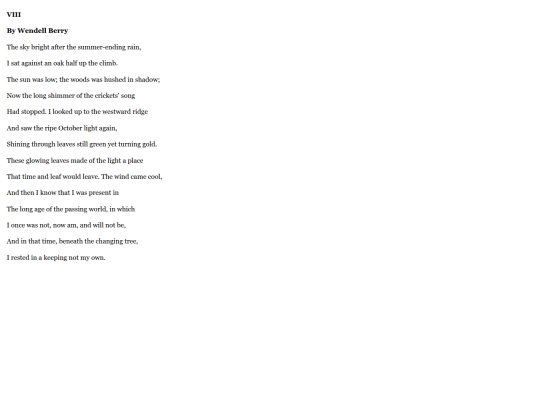 themeaning screenshot