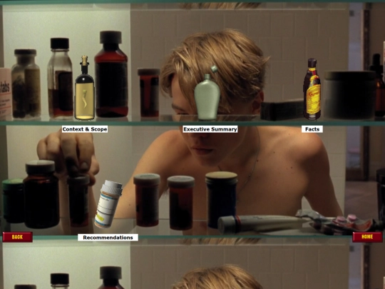 POLICYBRIEF1 screenshot