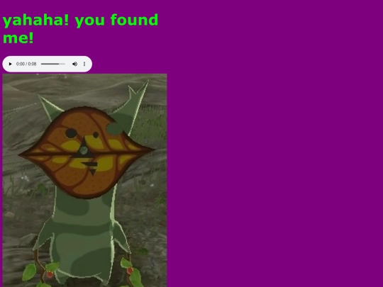 secret screenshot