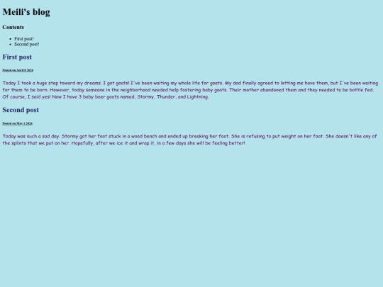 blog screenshot
