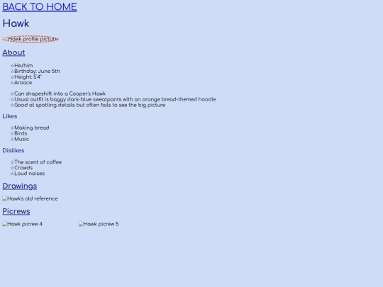 hawk screenshot