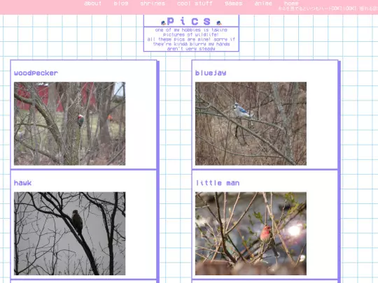 pics screenshot