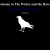 The Writer and the Raven avatar