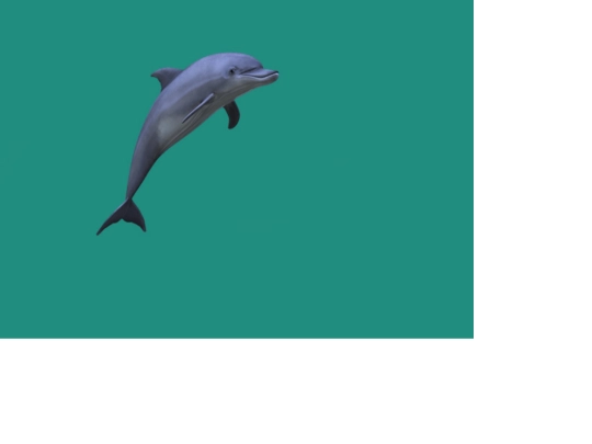 WEB/Delfin/Delfin screenshot