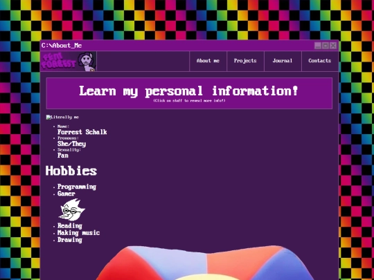 projects screenshot