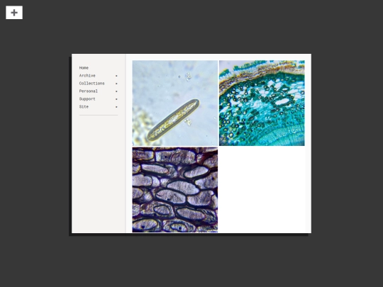 specimens screenshot