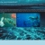myoceanpotion.neocities.org avatar