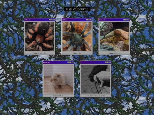 pages/pets/pets screenshot