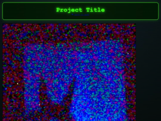 xray screenshot