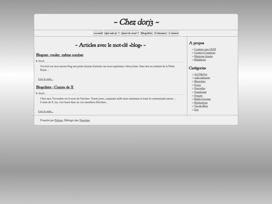 tag/blog screenshot