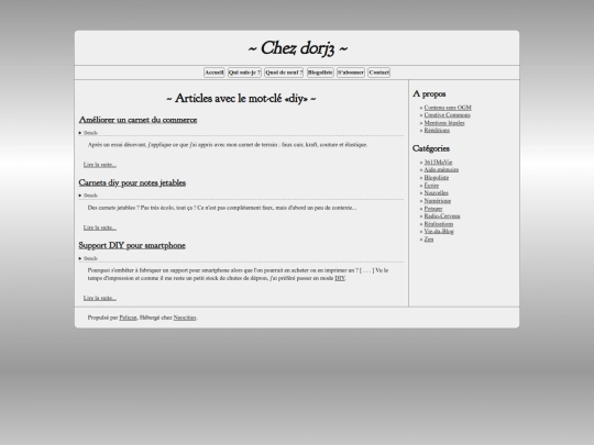 tag/diy screenshot