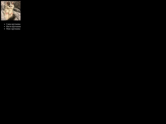 max screenshot