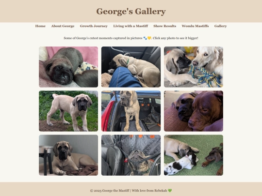 gallery screenshot