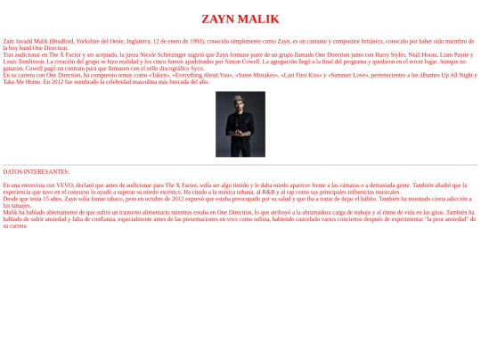 proyectofinal/zayn screenshot