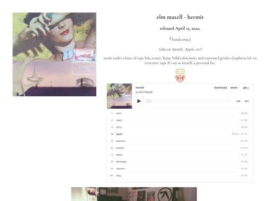 hermit screenshot