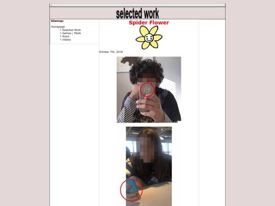 selected_work/spiderflower/spiderflower screenshot