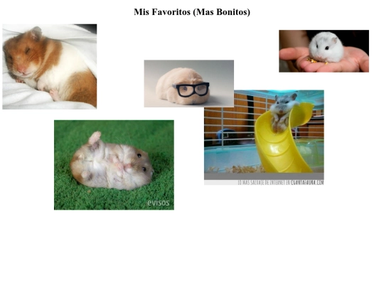 Galeria screenshot