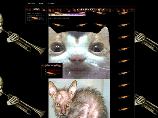 cats screenshot