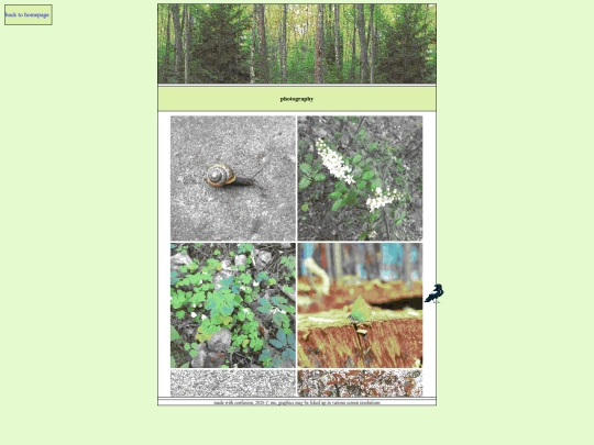 artandphotos screenshot