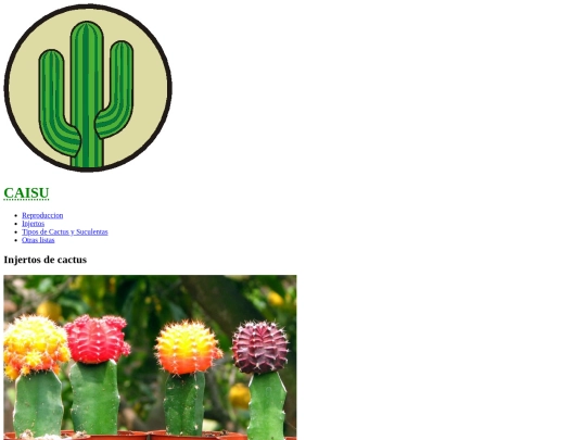 cactus/injertos screenshot