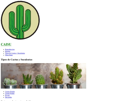 cactus/tipos screenshot