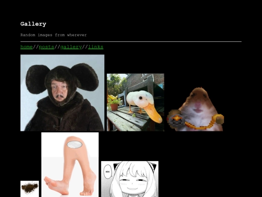 gallery screenshot