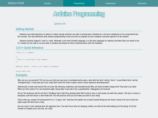 programming screenshot