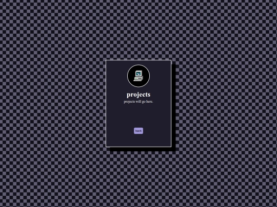 pages/projects screenshot