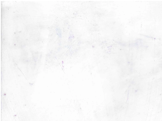 pinceau screenshot