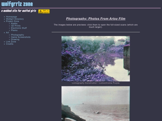 art/photos/artsy_film screenshot