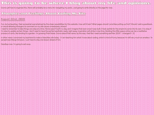 diary screenshot