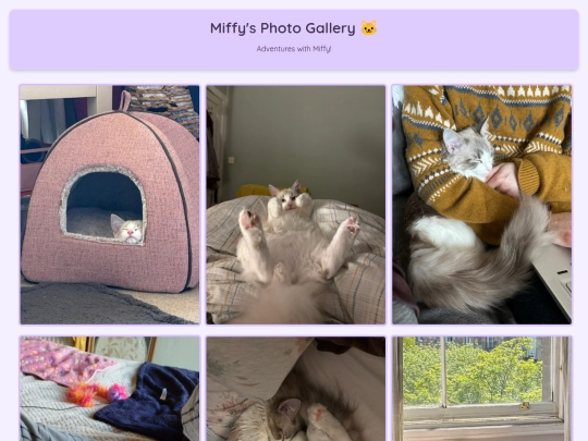 cats/miffy screenshot