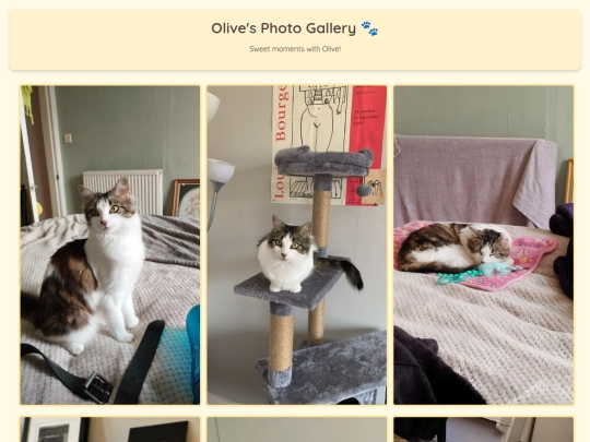 cats/olive screenshot