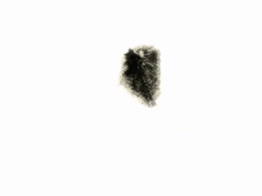 black_dot screenshot