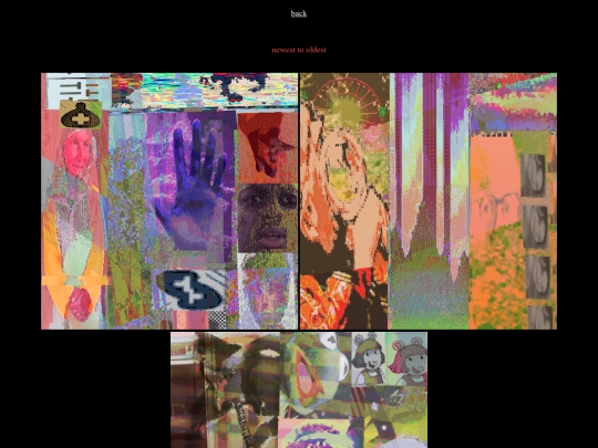 collage screenshot