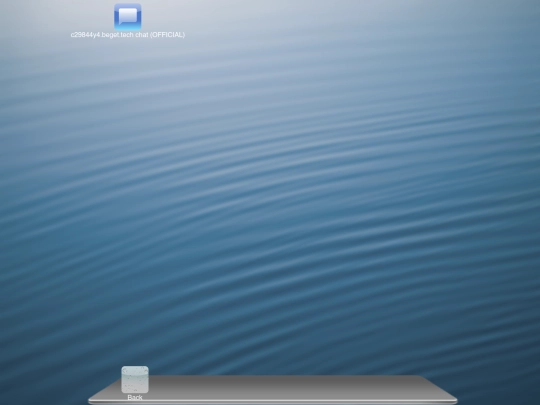 chat screenshot