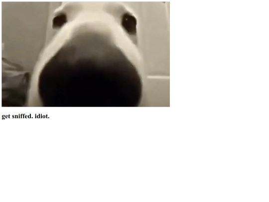 GETSNIFFED screenshot
